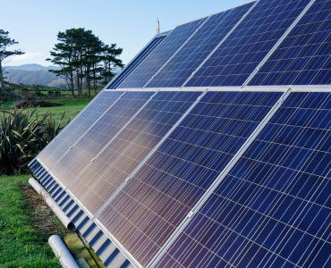 Solar panels with trees