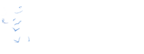 ENF Solar