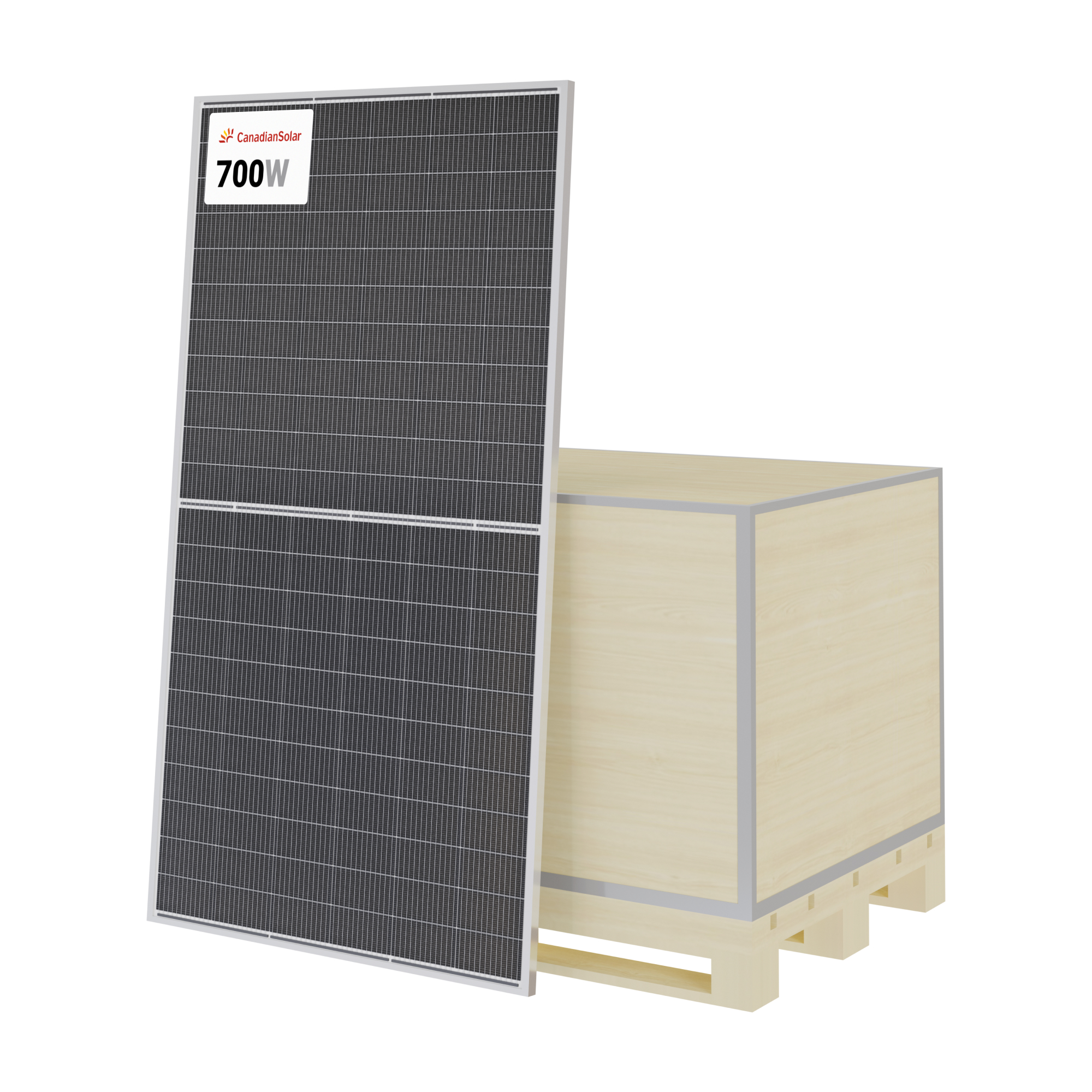 TOPCon Bifacial Solar Panel
