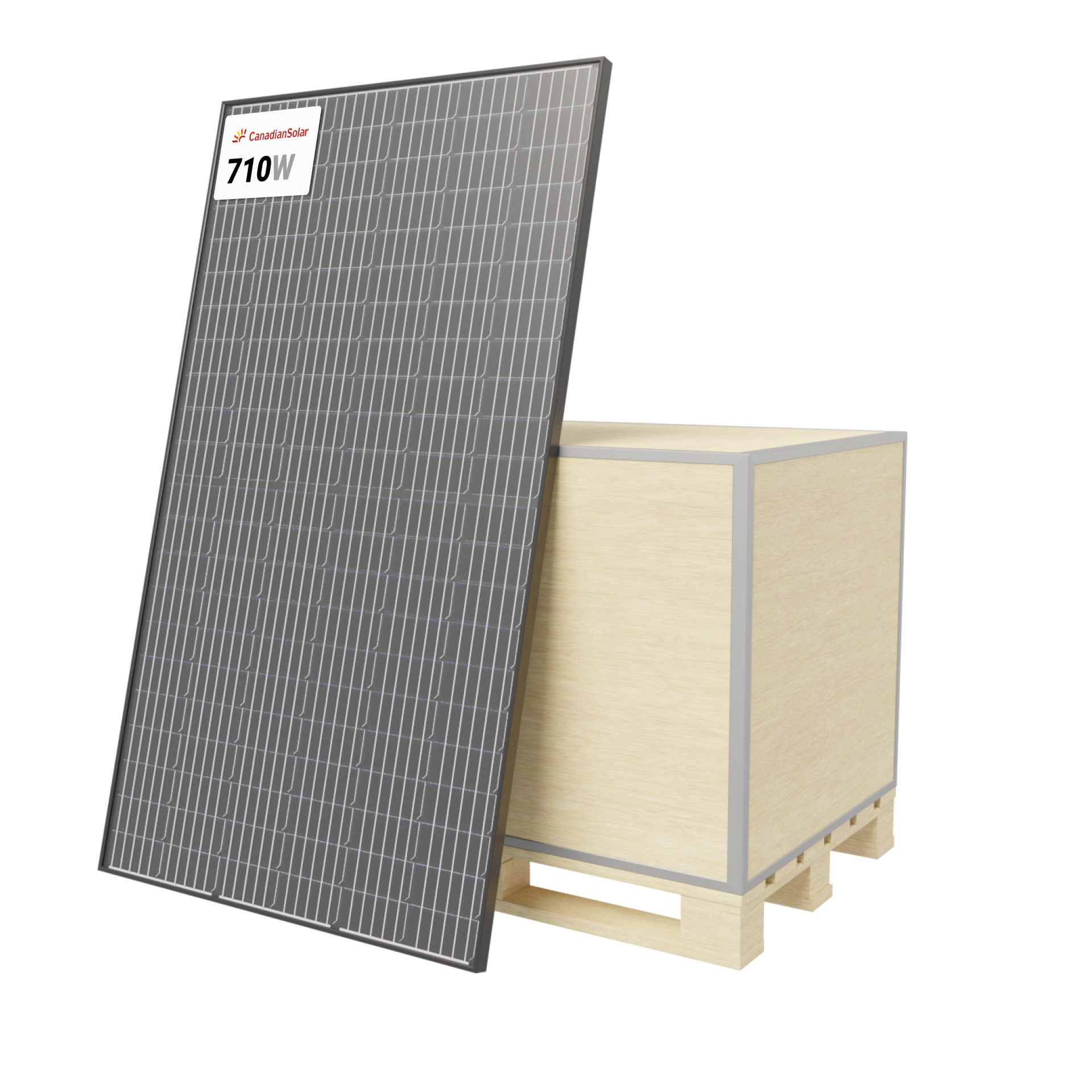 TOPCon Bifacial Solar Panel