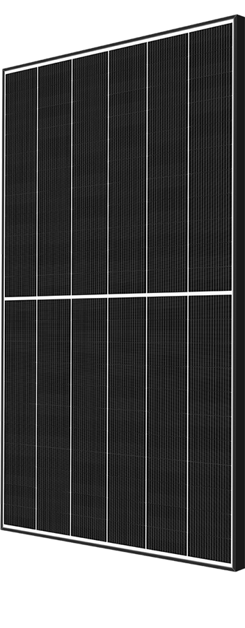 EVERVOLT H Series Solar Module