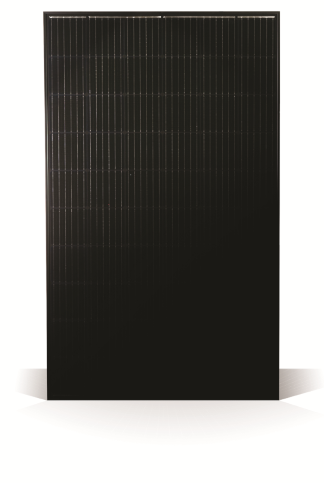 MSE PERC 60